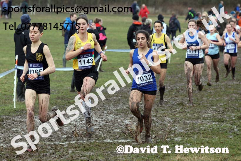 Senior womens 2018 British Inter Counties Cross Country Champs., Prestwold Hall, Loughborough. Photo: David T. Hewitson/Sports for All Pics